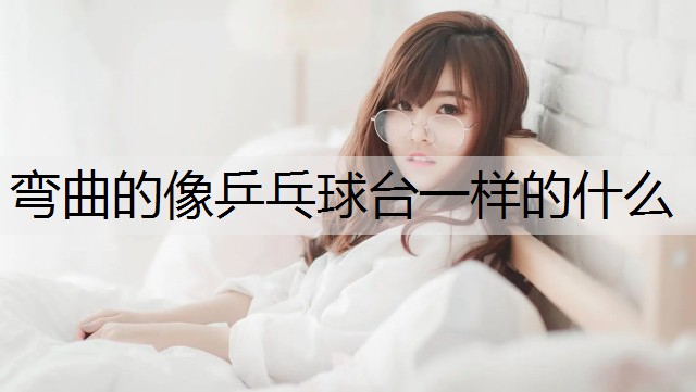 弯曲的像乒乓球台一样的什么