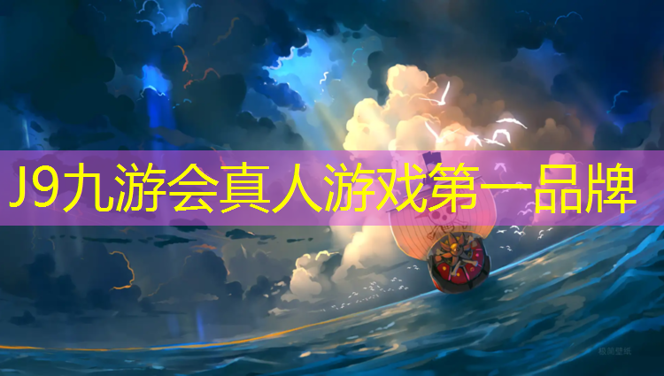 J9九游会官网：网球网换钢丝绳